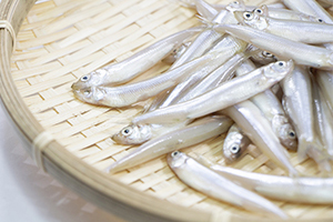 山中湖わかさぎ釣りドーム船「ARMOUR」